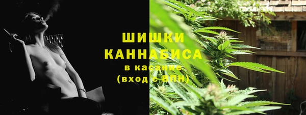 мдпв Надым