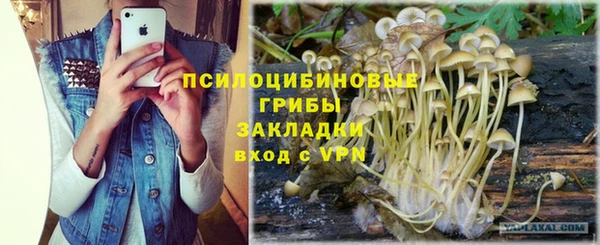 спайс Нея